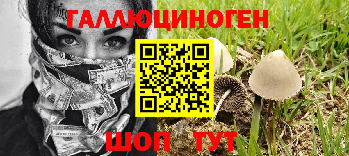 Галлюциногенные грибы ЛСД Скопин